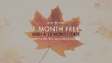 Studio Apartment for Rent - 34 Rambler Drive Image# 1