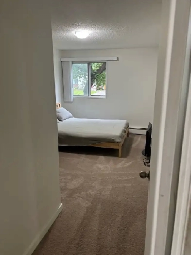 Roommate Wanted Image# 1