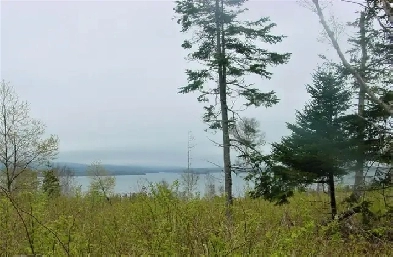 Waterview Land for Sale $79,000 Image# 1