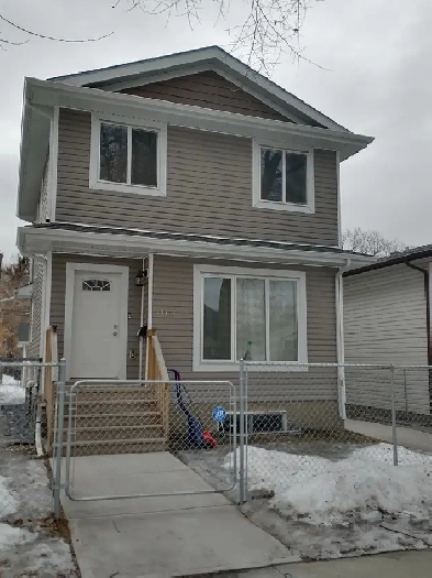 Basement Suite For Rent Image# 1