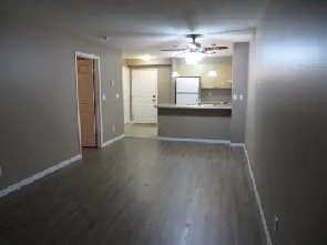 ONE BEDROOM SOUTH SIDE NEAR ANTHONY HENDAY Image# 1