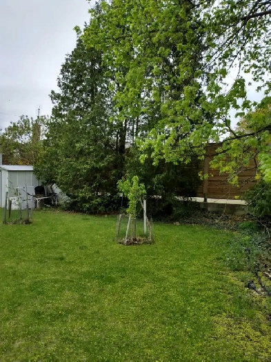 House For Rent In Niagara Falls Image# 1