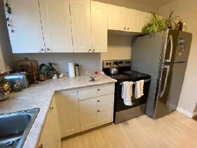 23 John Street - 2 Bedroom Apartment for Rent Image# 14