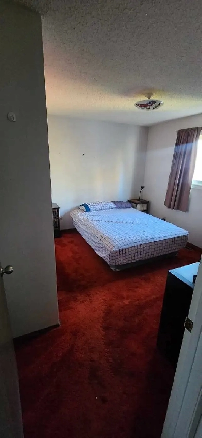 Room for rent in Millwoods area Image# 1