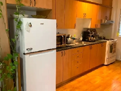 Metro Beaubien a 5 minutes, Rénové. Image# 1