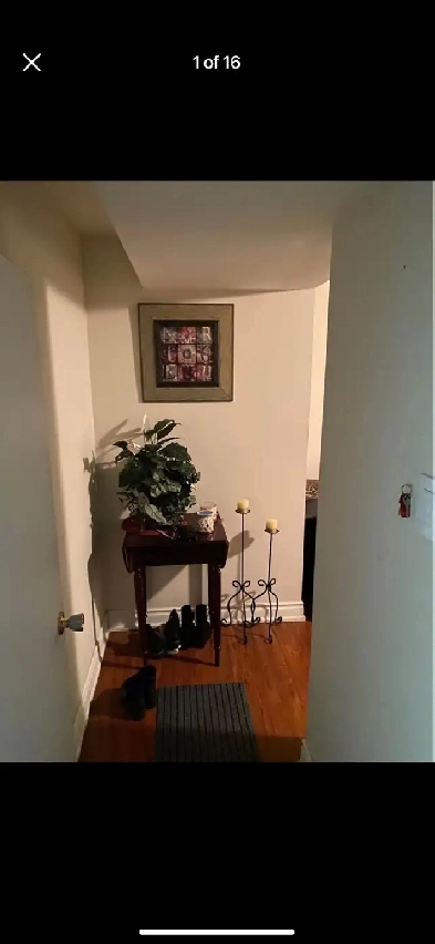 2 bed 1 bath apartment for rent Image# 1