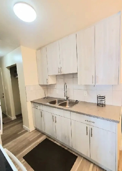 Furnished 1 bedroom Canora Edmonton Image# 1