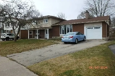 share house with retired professional Image# 1