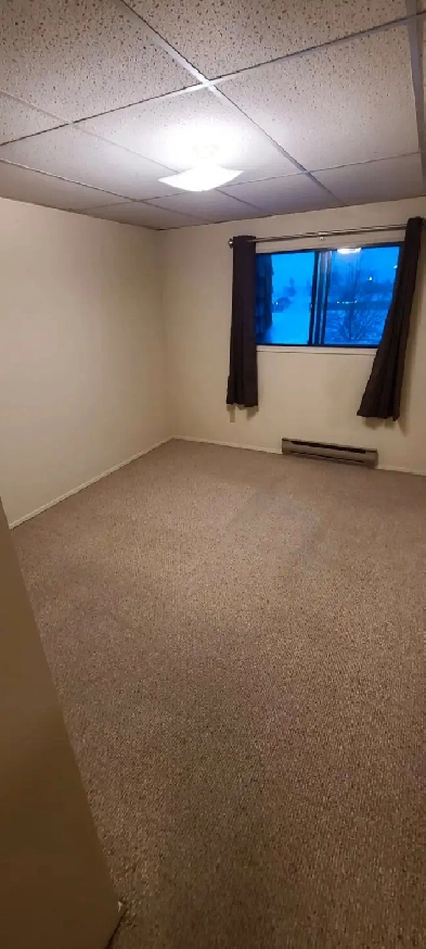 Beautiful 2 BEDROOM - CAT FRIENDLY Image# 2