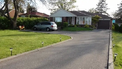 1 Bedroom Basement Apartment for Rent -Wexford Blvd, Scarborough Image# 1