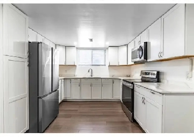 3 BR   1 Bath Basement  - 2200 Image# 1