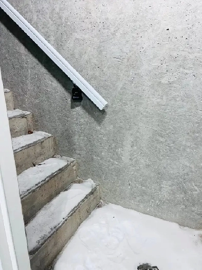 basement rent available from November Image# 1