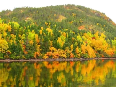 House for sale Image# 1