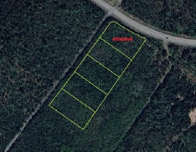 Terrains boisés zoné blancs Image# 9