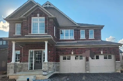 Brand new house Lookout Basement apartment for Rent Image# 1