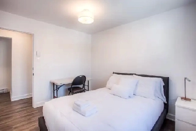 1 bedroom in a 3 bedroom shared apartment! Image# 1