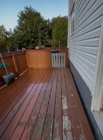 1bedroom basement apartment for rent Image# 1