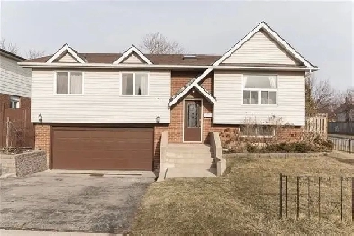 1 Bedroom Basement 4 Rent- Brampton on Rutherford & William Prkw Image# 1