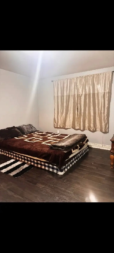 Private room for rent (girls only) Image# 1