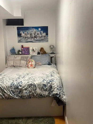 Basement room  for rent, steps to Seneca@york $800. Image# 1