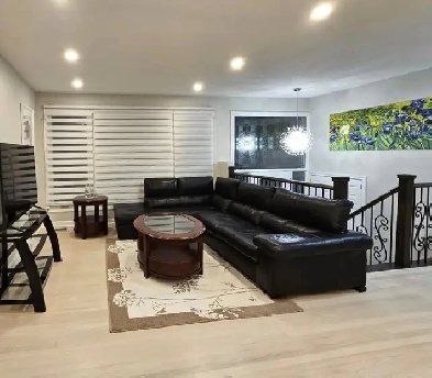 Upscale furnished room, queen bed, AC, Bayshore, male only Image# 1