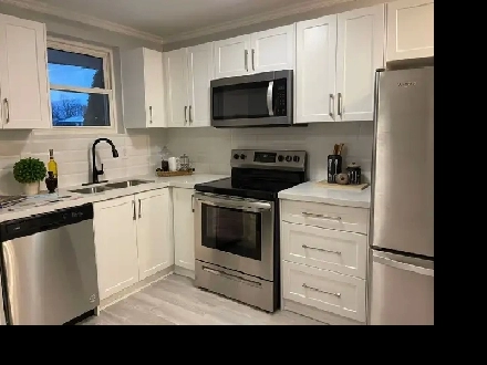 Basement for Rent – 1 Large Room with Private Washroom – East Lo Image# 1