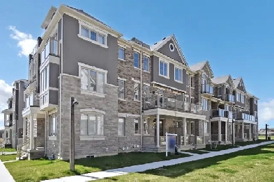 1 room with big private washroom for rent HWY7/9th line Markham Image# 1