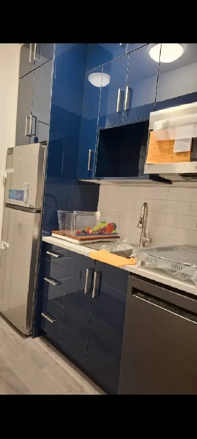 Basement 1 bedrom,1 livin room, 1 washroom,laundry,private door Image# 1