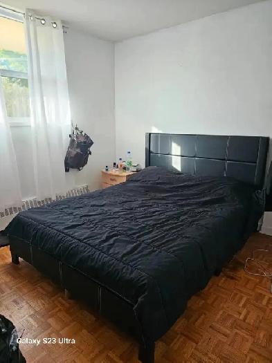 INTERNATIONAL FEMALE STUDENT ROOMMATE Image# 1