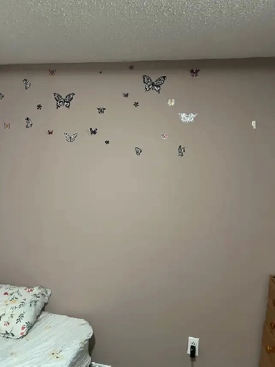 room for rent Image# 1