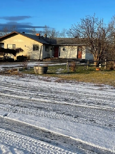 House for rent Image# 3