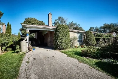 5 bedroom upstairs for rent near Bayly and Liverpool Image# 1