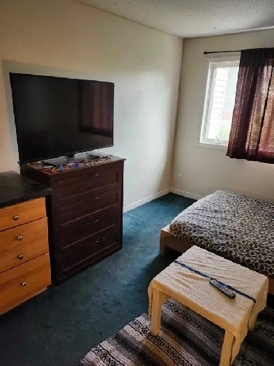Large Main Bedroom- Furnished All Bills Cleaning -Available ASAP Image# 1
