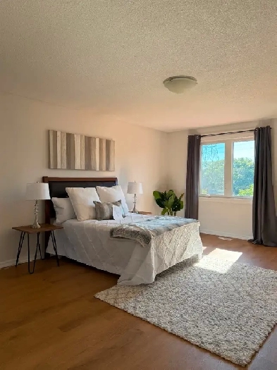 Private room rental in Mississauga Square One Image# 1