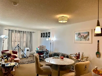 FOR RENT TOP FLOOR 1 BEDROOM RUTHERFORD VILLAGE  NOV 1  $1250 Image# 1