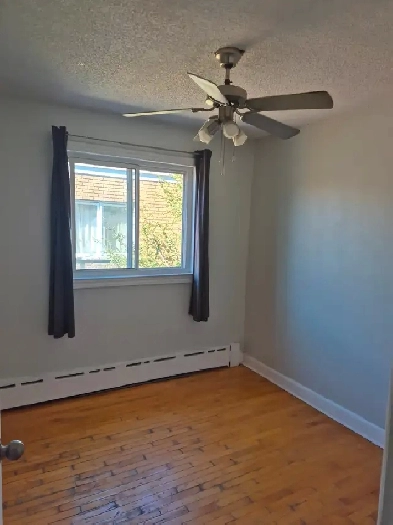 3 Bedroom Apt Beechwood-Vanier area Image# 1