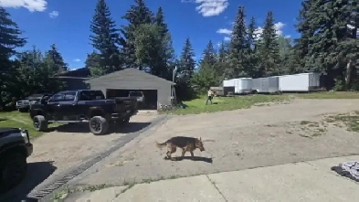 Winter Parking – RVs, Boats & Trailers – NW Calgary Image# 1