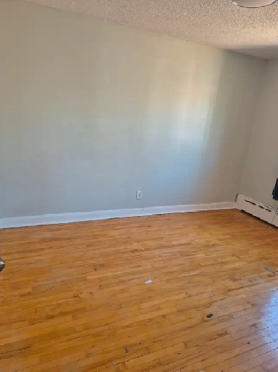 3 Bedroom spacious unit - Vanier -New Edinburgh Image# 1