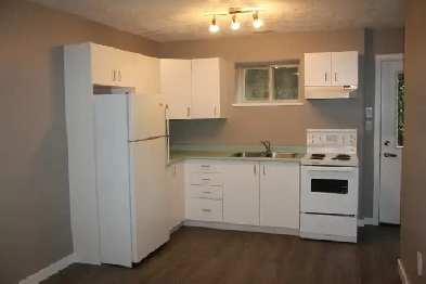 Basement Suite for rent Image# 5