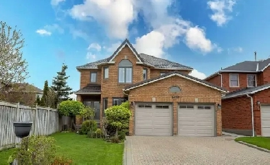 Basement for Rent in Mississauga Image# 1