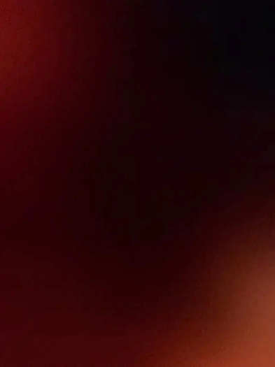 One bedroom basement near Sheridan College Image# 1