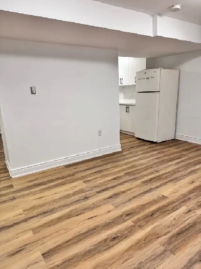 Spacious 1-bedroom newly renovated basement in Malton Image# 1