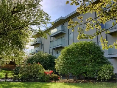 Renovated 2-bedroom in James Bay - minutes from BC Legislature Image# 2