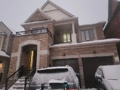 Legal Basement for rent Image# 1