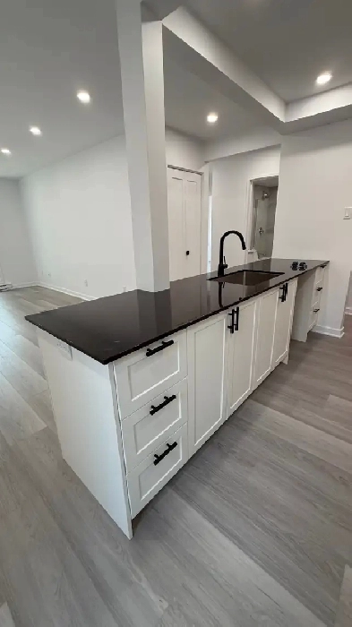 À louer – Magnifique condo 4 ½ entièrement rénové – 1050 pi² Image# 1