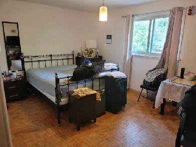 Room with private Bath near Errindale station and dundas Image# 1