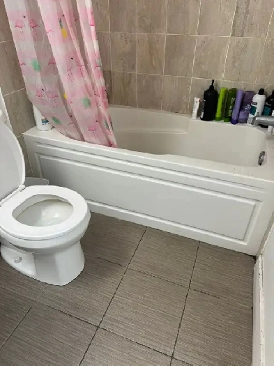 ROOMS FOR RENT NEAR SHERIDAN COLLEGE AND GATEWAY BUS TERMINAL. Image# 1