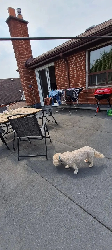 Apartment for rent available Oct.1st/2025.2k, month roof patio Image# 1