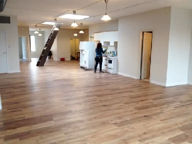 Commercial Live-Work in Liberty Village Image# 1