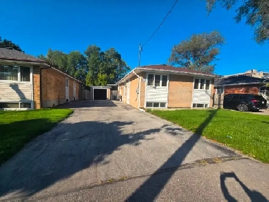 1 bedroom basement for rent,Pharmacy Ave Image# 1